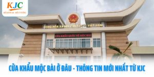 cua-khau-moc-bai-o-dau-thumb