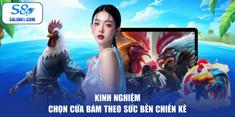 Kinh nghiệm chọn cửa bám theo sức bền chiến kê