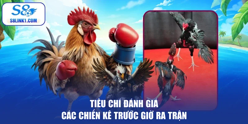 Tiêu chí đánh giá các chiến kê trước giờ ra trận